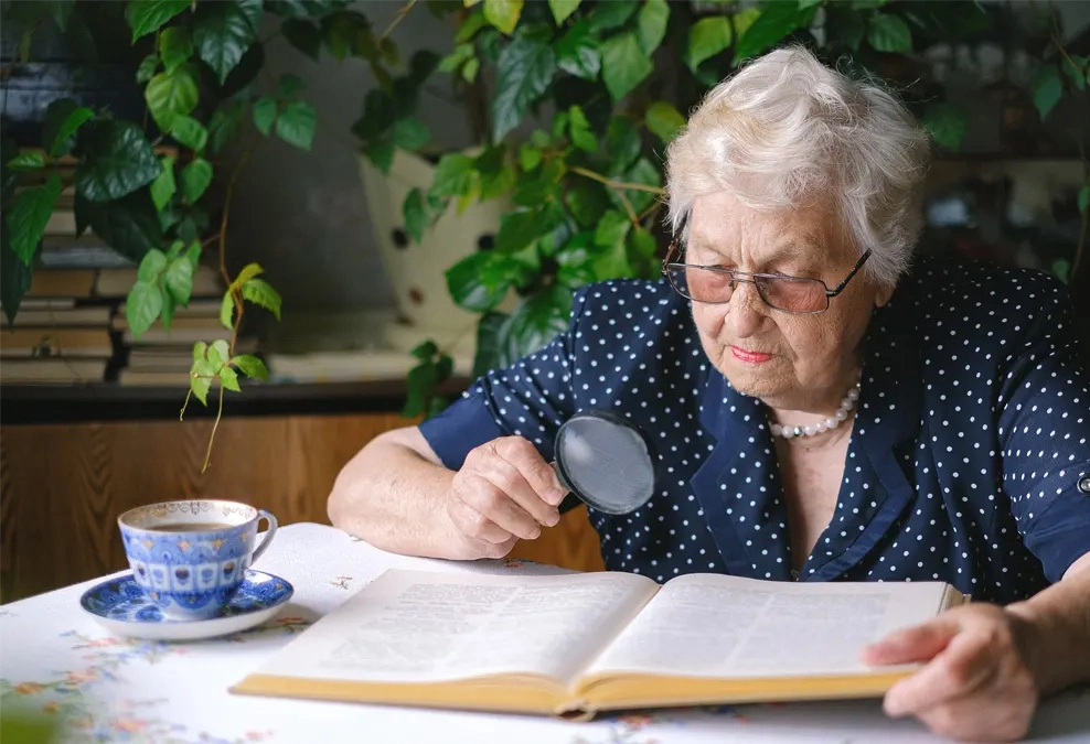 Gondozónő Németország